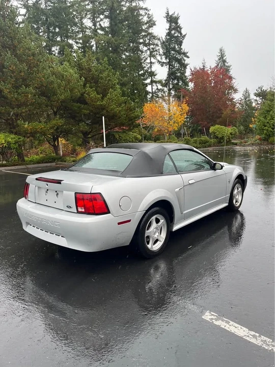 2003 Ford SN95 Mustang - Image 2 of 7