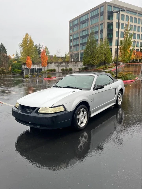 2003 Ford SN95 Mustang - Image 7 of 7