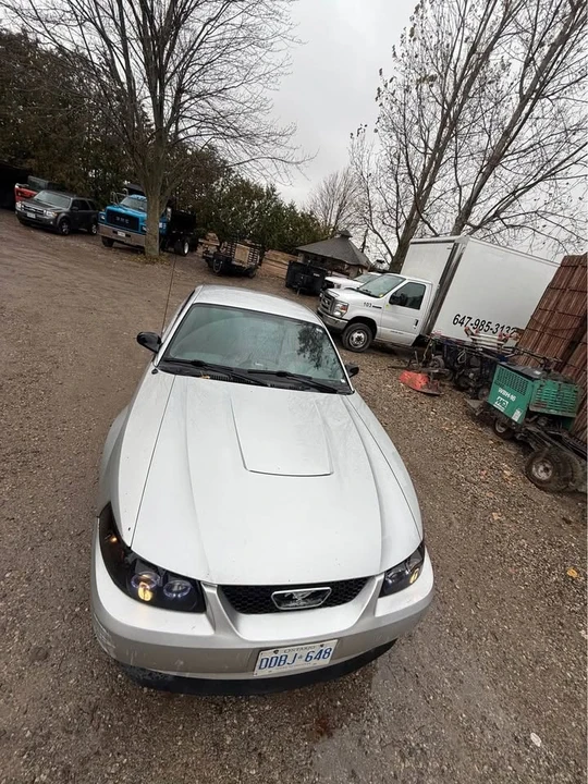 2003 Ford SN95 Mustang - Image 4 of 5