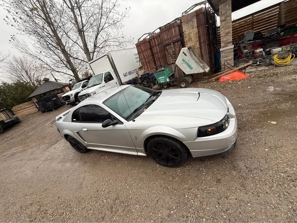 2003 Ford SN95 Mustang - Image 2 of 5