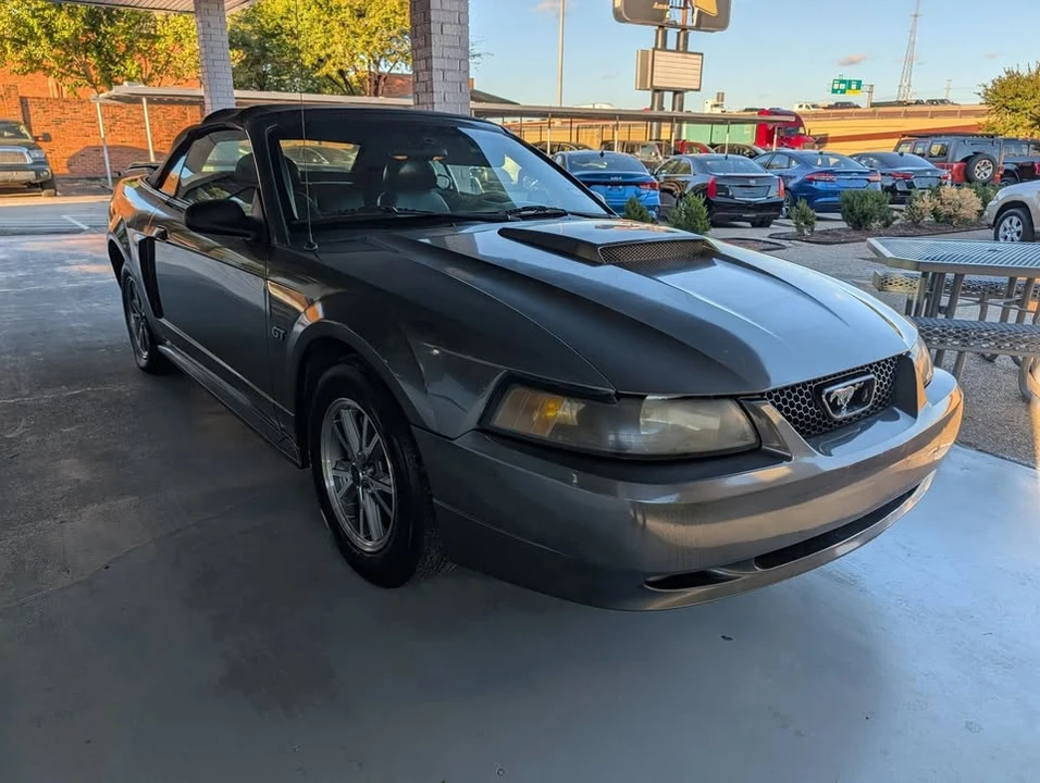 2003 Ford SN95 Mustang - Image 6 of 17