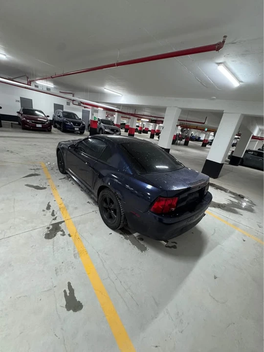 2003 Ford SN95 Mustang - Image 4 of 5