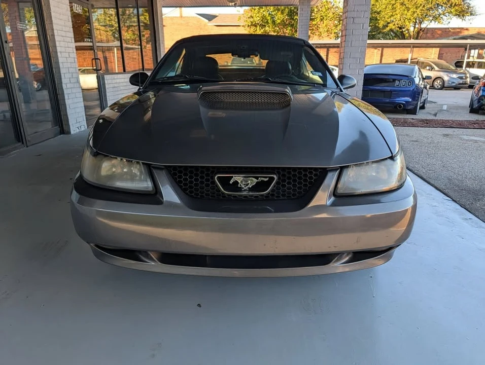 2003 Ford SN95 Mustang - Image 7 of 17