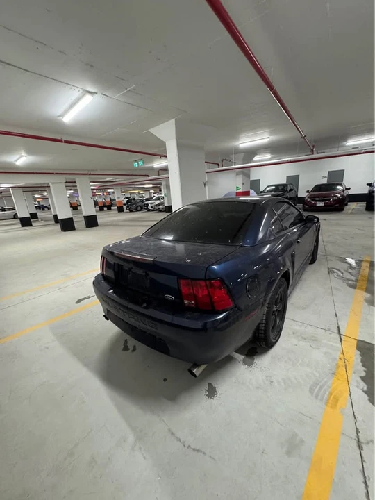 2003 Ford SN95 Mustang - Image 3 of 5