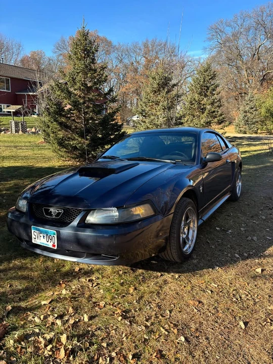 2003 Ford SN95 Mustang - Image 2 of 9