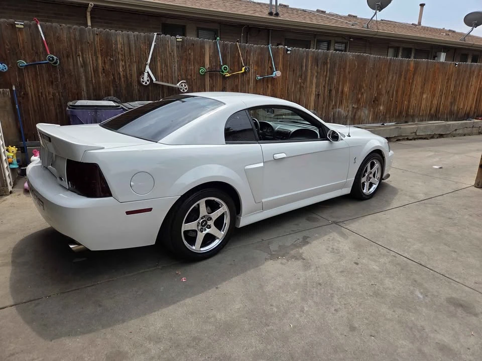 2003 Ford SN95 Mustang Cobra - Image 2 of 10