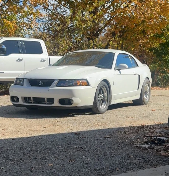 2003 Ford SN95 Mustang - Image 7 of 9