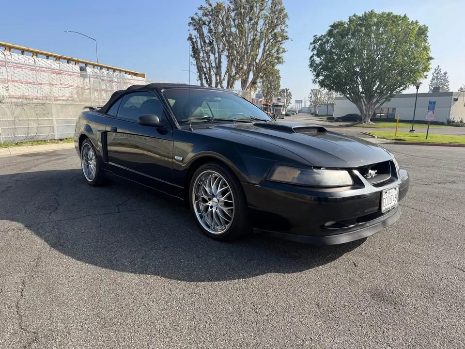 2003 Ford SN95 Mustang - Image 2 of 9
