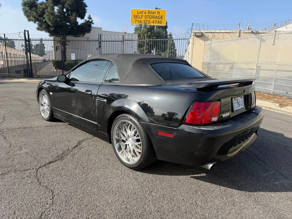 2003 Ford SN95 Mustang - Image 6 of 9