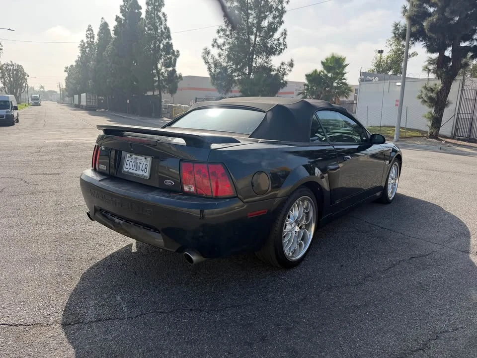 2003 Ford SN95 Mustang - Image 4 of 9