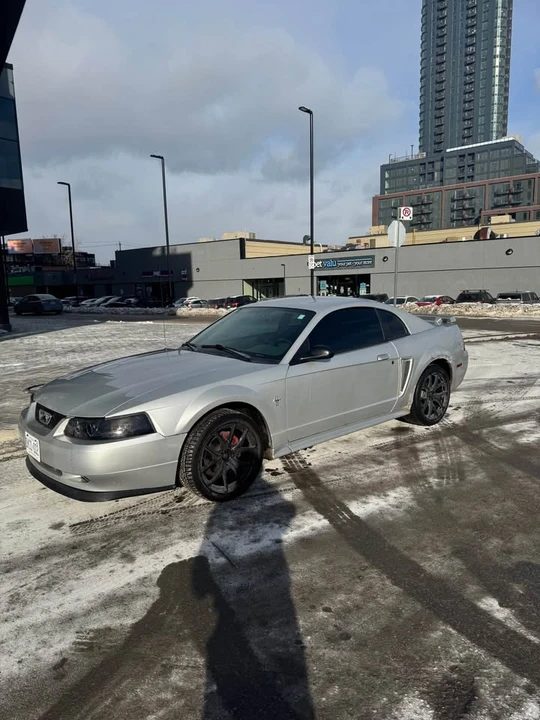 2003 Ford SN95 Mustang - Image 3 of 6
