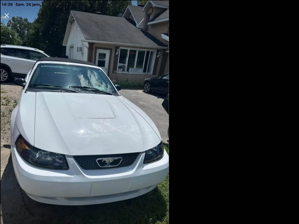 2003 Ford SN95 Mustang - Image 2 of 11