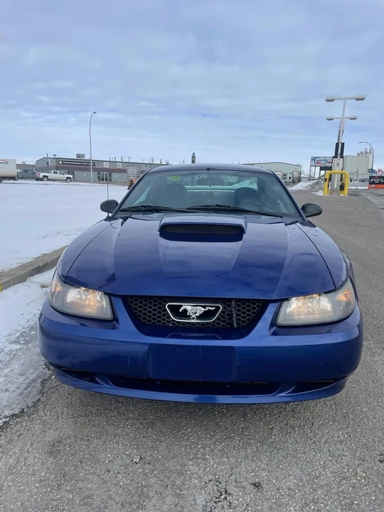 2003 Ford SN95 Mustang - Image 7 of 8