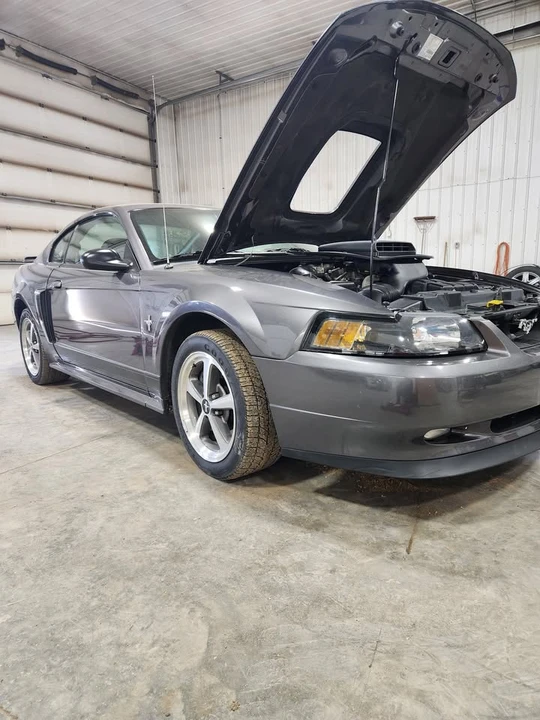 2003 Ford SN95 Mustang - Image 3 of 3
