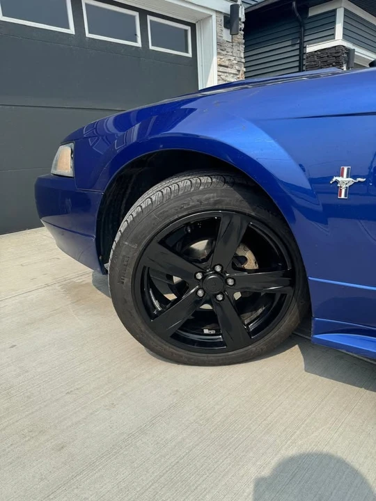 2003 Ford SN95 Mustang - Image 8 of 8