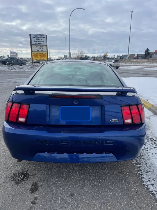 2003 Ford SN95 Mustang - Image 4 of 8