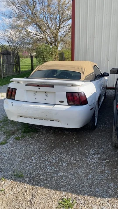 2003 Ford SN95 Mustang - Image 2 of 9