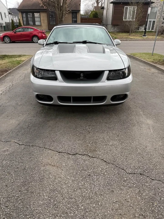 2003 Ford SN95 Mustang - Image 5 of 6
