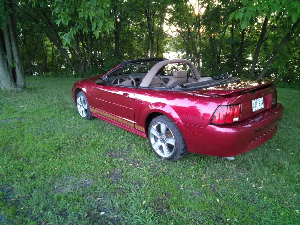 2003 Ford SN95 Mustang - Image 11 of 11