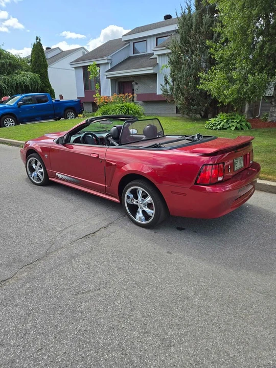 2003 Ford SN95 Mustang - Image 2 of 10