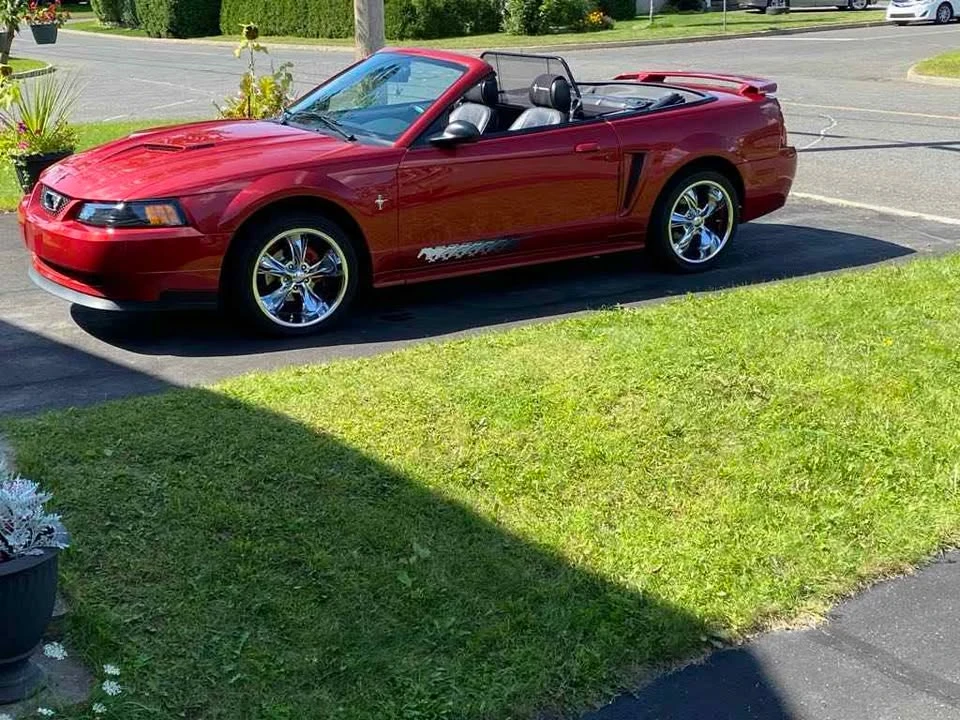 2003 Ford SN95 Mustang - Image 10 of 10