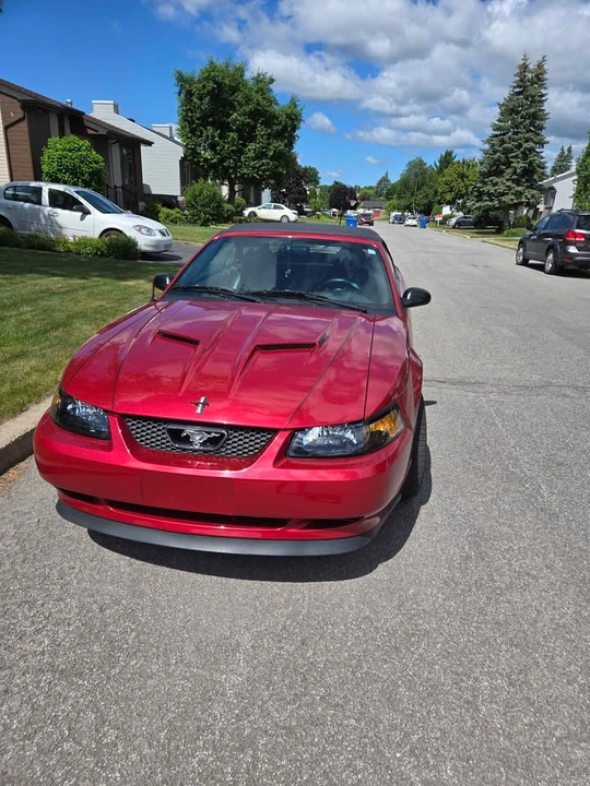 2003 Ford SN95 Mustang - Image 8 of 10