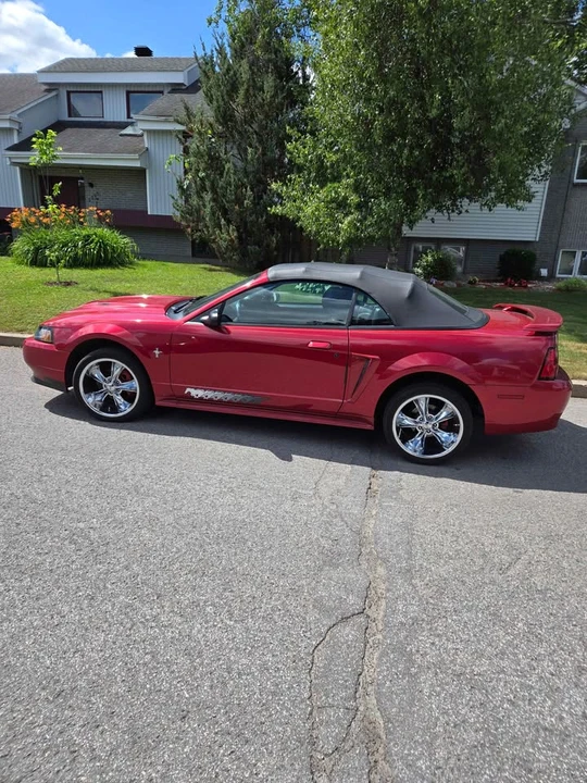 2003 Ford SN95 Mustang - Image 7 of 10