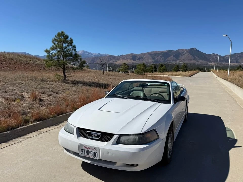 2003 Ford SN95 Mustang - Image 3 of 12