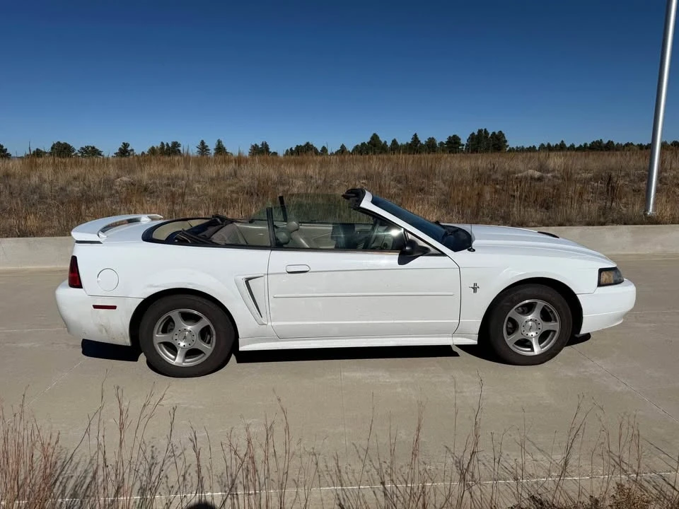 2003 Ford SN95 Mustang - Image 5 of 12