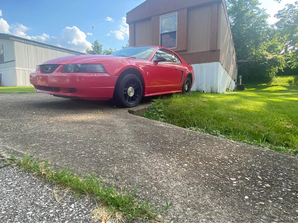 2003 Ford SN95 Mustang - Image 2 of 6