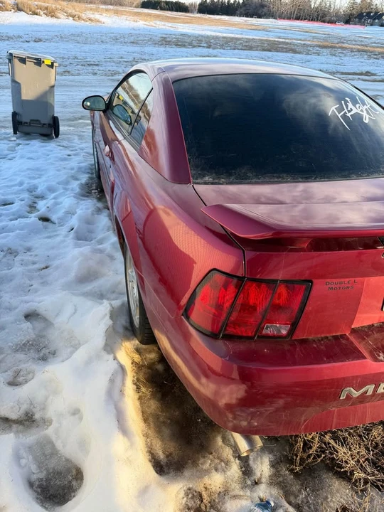 2003 Ford SN95 Mustang - Image 4 of 4