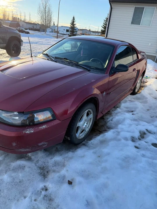 2003 Ford SN95 Mustang - Image 2 of 4