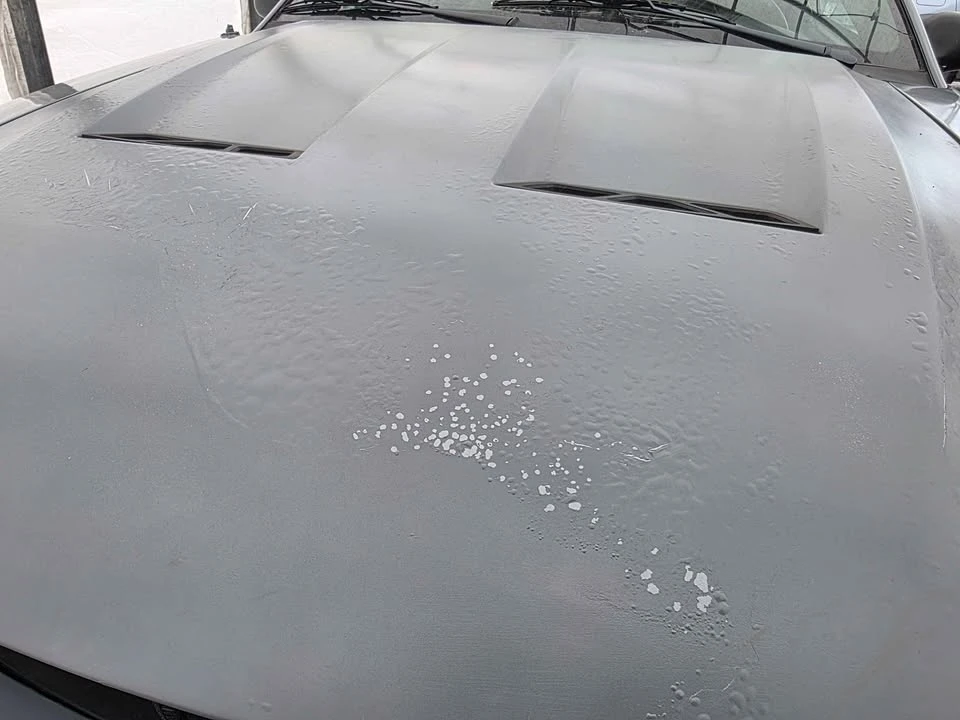 2003 Ford SN95 Mustang - Image 2 of 4