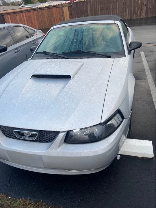 2003 Ford SN95 Mustang Cobra - Image 4 of 4