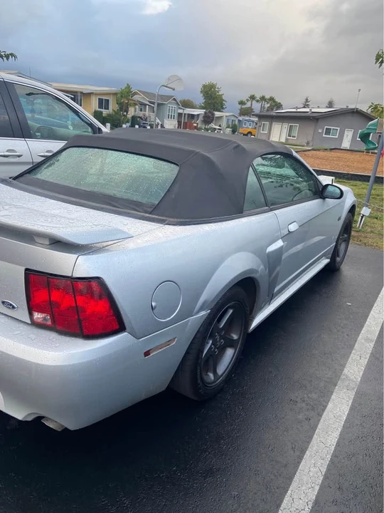 2003 Ford SN95 Mustang Cobra - Image 2 of 4