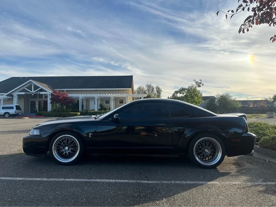 2003 Ford SN95 Mustang Cobra - Image 6 of 6