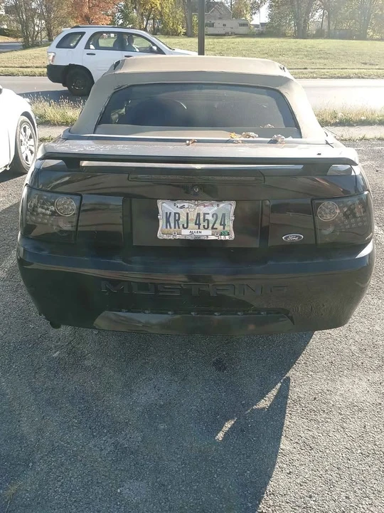 2003 Ford SN95 Mustang - Image 4 of 11