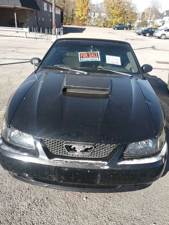 2003 Ford SN95 Mustang - Image 6 of 11