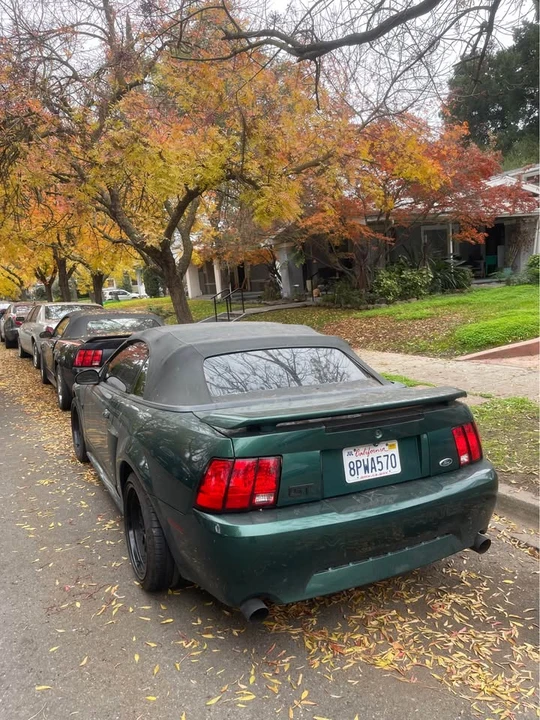 2003 Ford SN95 Mustang - Image 7 of 8