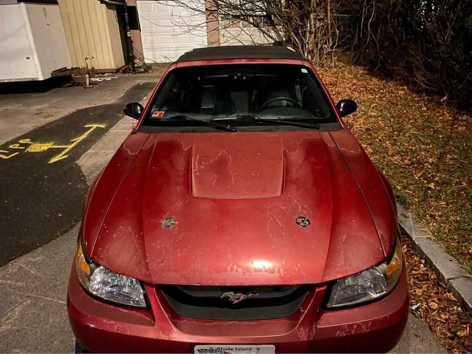 2003 Ford SN95 Mustang - Image 10 of 11