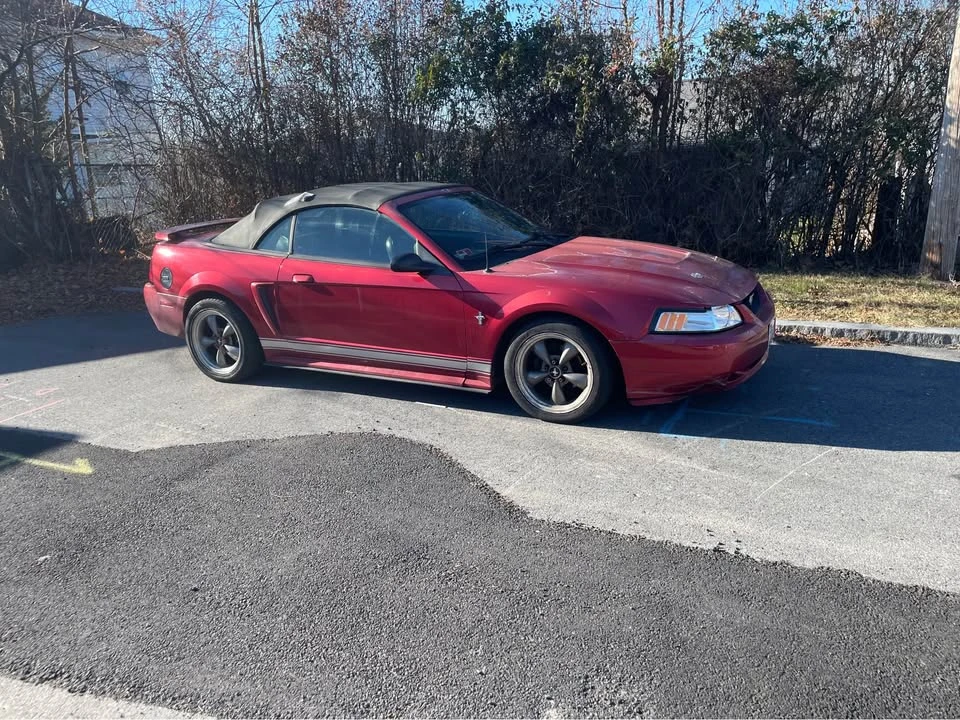 2003 Ford SN95 Mustang - Image 2 of 11