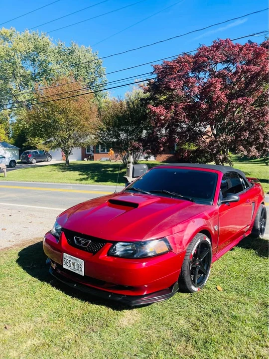 2003 Ford SN95 Mustang - Image 2 of 9