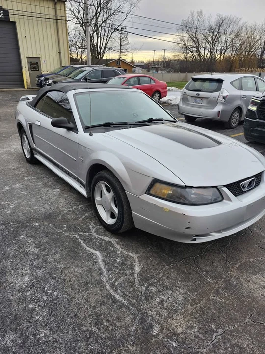 2003 Ford SN95 Mustang - Image 12 of 18