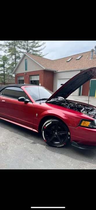 2003 Ford SN95 Mustang - Image 6 of 9