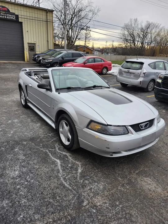 2003 Ford SN95 Mustang - Image 2 of 18