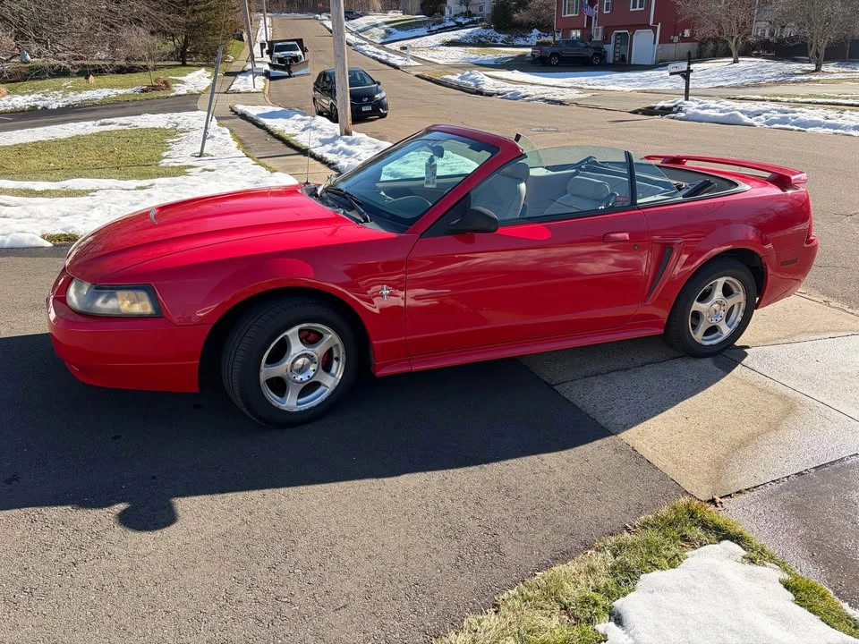 2003 Ford SN95 Mustang - Image 3 of 7