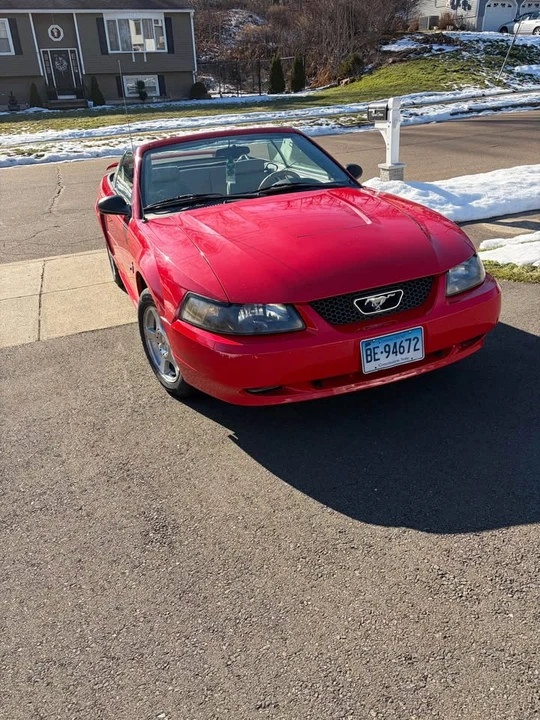 2003 Ford SN95 Mustang - Image 2 of 7