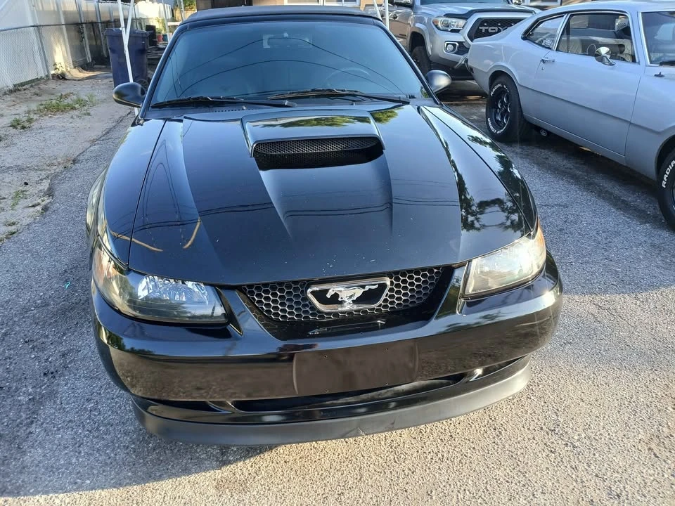 2003 Ford SN95 Mustang - Image 5 of 10