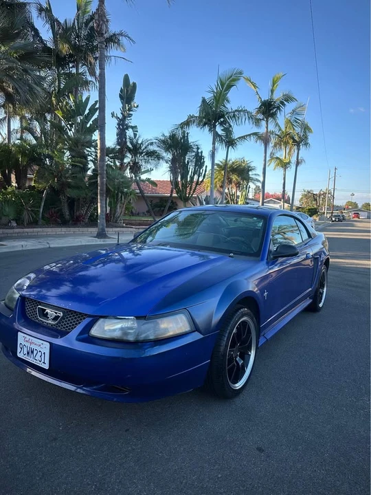 2003 Ford SN95 Mustang - Image 3 of 16