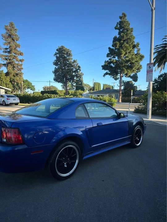 2003 Ford SN95 Mustang - Image 7 of 16